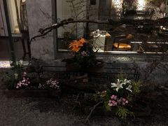 -乐领拈花溪·林涧食韵