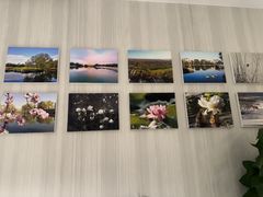 -东方太阳城淮扬餐厅(会所中餐厅店)