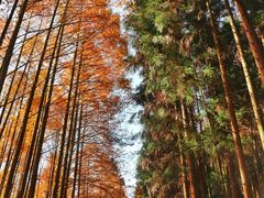 -山王坪喀斯特国家生态公园