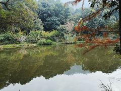 -深圳仙湖植物园