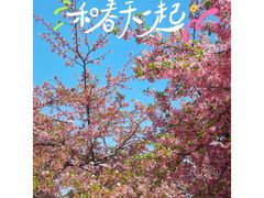 -上海辰山植物园