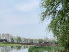 -金银湖国家城市湿地公园