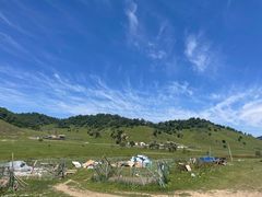 -关山牧场王师烤全羊