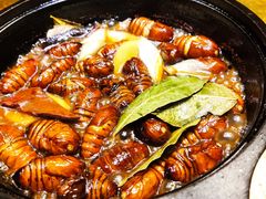 压锅酒香蚕蛹-老江南春·中国龙菜(衡山路店)