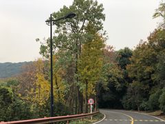 -宝界山林公园