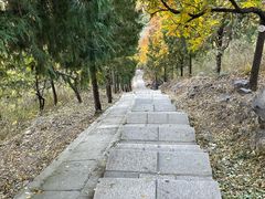 -北京十三陵国家森林公园蟒山景区
