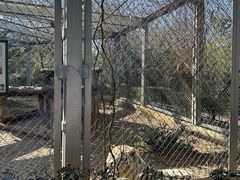 -合肥野生动物园