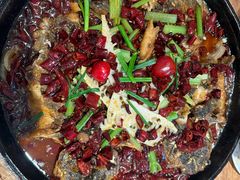 -老板恋上鱼(恒隆广场店)