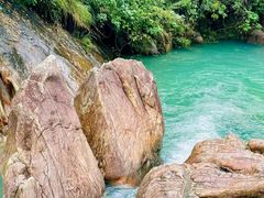 -广州白江湖森林公园