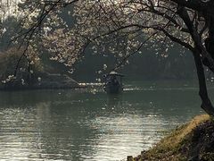 -西溪国家湿地公园