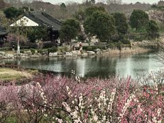 -上海海湾国家森林公园