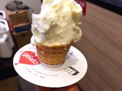 -野人先生现做冰淇淋(北京环宇荟店)