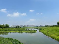 -洋湖国家湿地公园