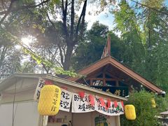 -成都市活水公园