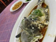 -鑫悦楼煎蟹·16年海鲜大排档