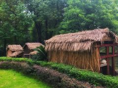 -成都保利公园皇冠假日酒店(熊猫基地店)