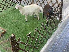 -清真·益鑫羊肉手抓馆(花园北街店)