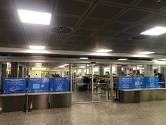 -米兰马尔彭萨国际机场