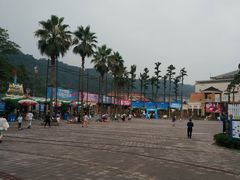 -重庆海昌加勒比海水世界
