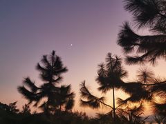 -那琴半岛地质海洋公园