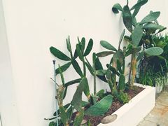 -花沐 FLOWER BATH(凤凰城店)