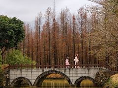 -佛冈森波拉度假区