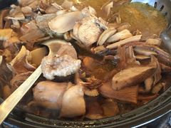 -蘑统田下·野生菌火锅