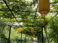 -灵岩山风景区