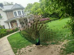 -J Create城市露营咖啡·简餐·宠物(上海动物园店)