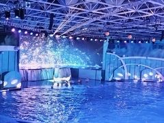 -海合安青岛极地海洋公园