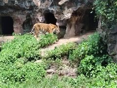 -杭州动物园