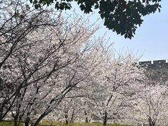 -万达广场(南京江宁店)