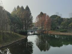 -尚贤河湿地