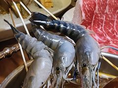 -揽季锅物会.福建黄鱼.海鲜姿造(五四路店)