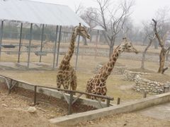 景点-西安秦岭野生动物园