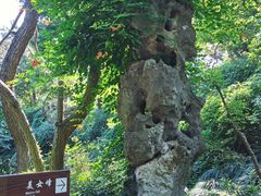 -上海方塔园