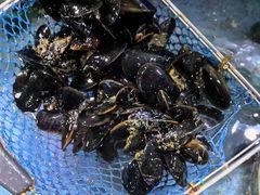 -张树军海鲜(王府壹号店)