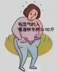 -香薇妮丝女子减肥院
