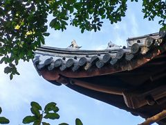 -秋霞圃