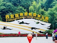 -西双版纳原始森林公园