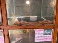 -上海大自然野生昆虫馆(东方明珠·爬宠昆虫探索中心)