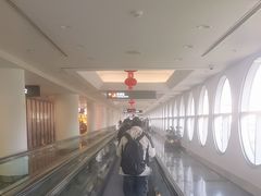 -厦门高崎国际机场-T3航站楼