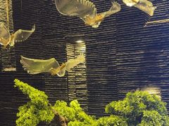 -上足·影院足道·SPA(红岭店)