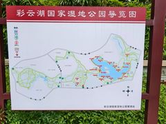 -重庆彩云湖湿地公园