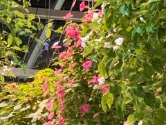 -常州花鸟园酒店(西太湖品牌优选店)