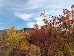 -周口店坡峰岭风景区