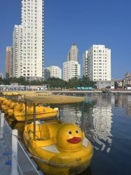 -星海水上乐园(星海广场圣亚店)