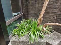 -南堂馆·新川菜(天府三街店)