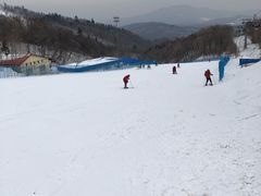 景点-亚布力新体委滑雪场