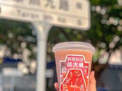 -野萃山·潮汕厚果汁(十亩地店)